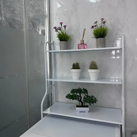 Apartament Caktusrent