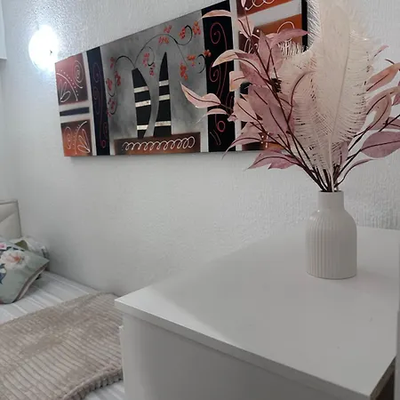 Apartament Caktusrent *